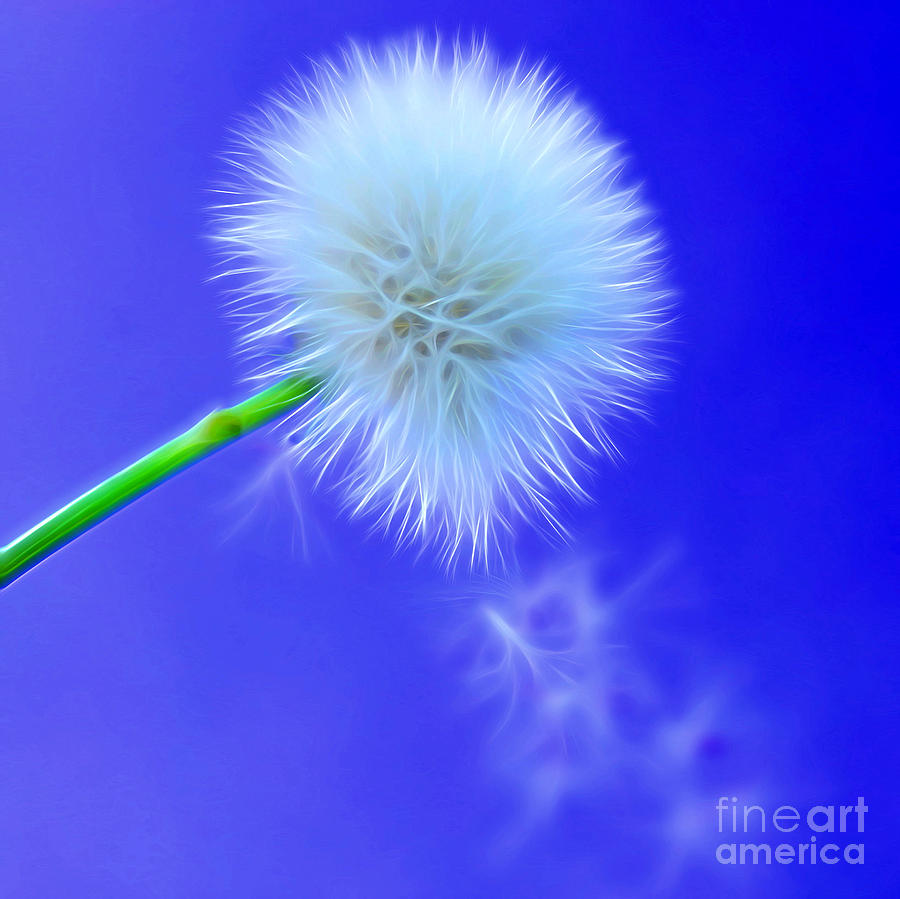 Flower Digital Art - Wishes Set Free by Krissy Katsimbras