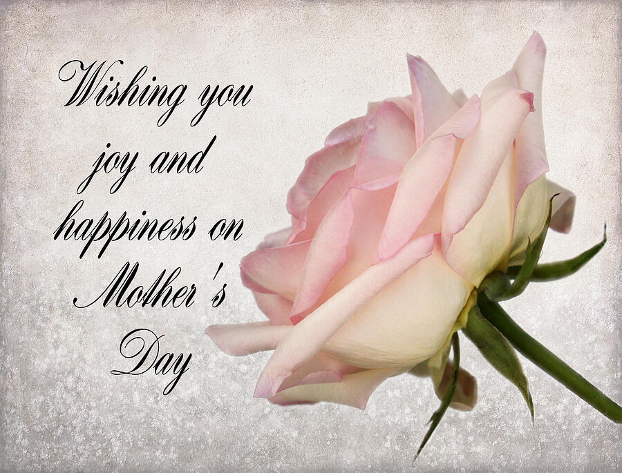 Mothers Day Photograph - Wishing You Joy by Judy Vincent