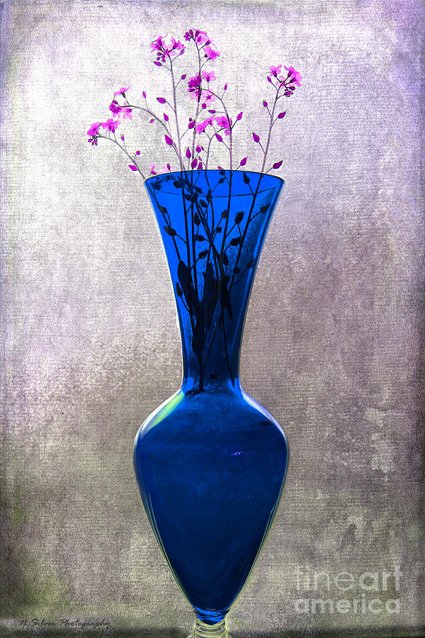 Wisps of Spring in a Blue Glass Vase Photograph by Nina Silver