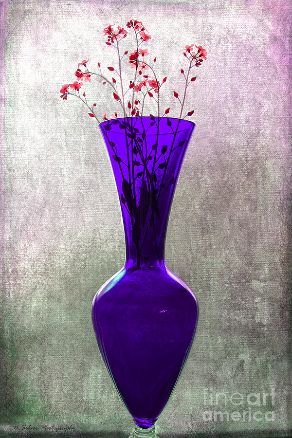 Wisps of Spring in a Purple Glass Vase Photograph by Nina Silver