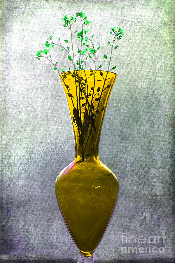 Wisps of Spring in a Yellow Glass Vase Photograph by Nina Silver