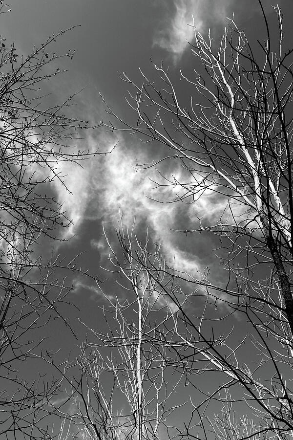 Wispy Clouds 2017 BW Photograph by Mary Bedy