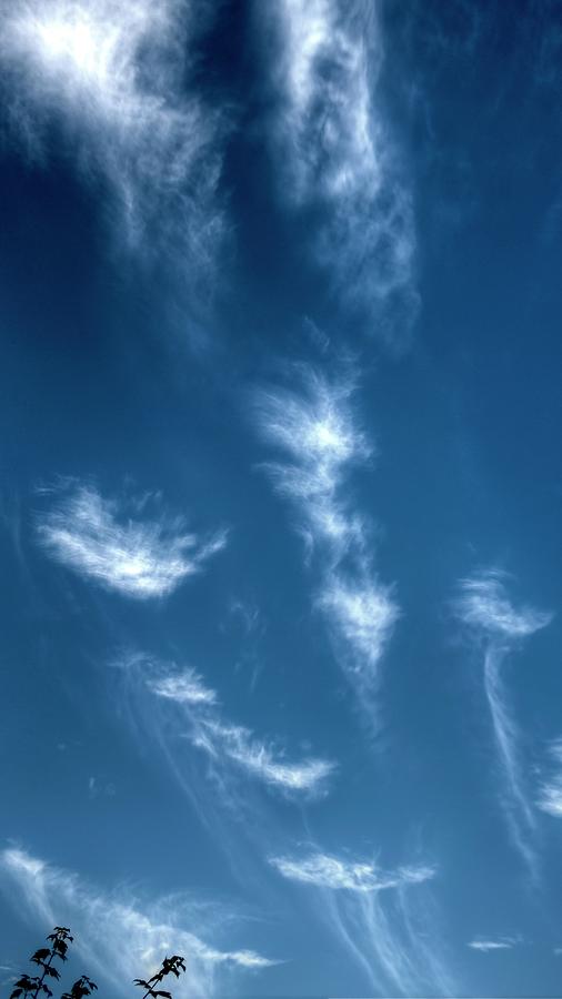 Wispy Clouds 7585 Photograph by Jerry Sodorff