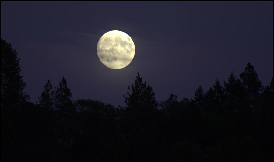 Wispy Moon Photograph by Mina Thompson | Fine Art America