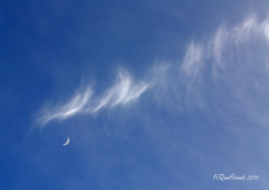 Wispy Moon Rising Photograph by PJQandFriends Photography
