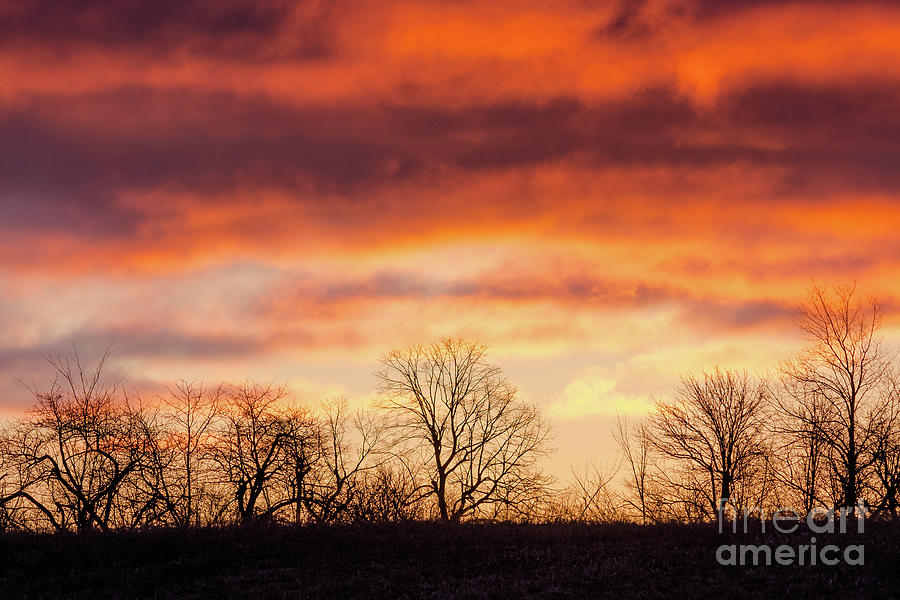 Wispy Sunrise Sky Photograph by Cheryl Baxter