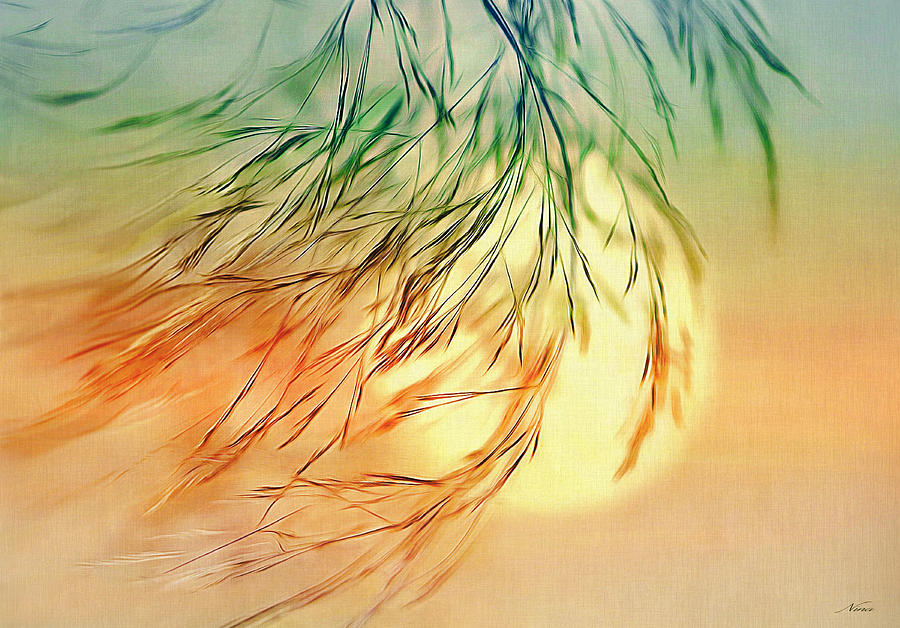 Wispy Sunset-0 Digital Art by Nina Bradica