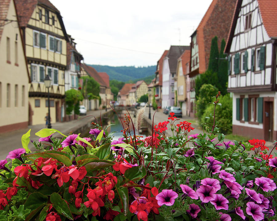 Wissembourg, France Photograph by Rebekah Zivicki