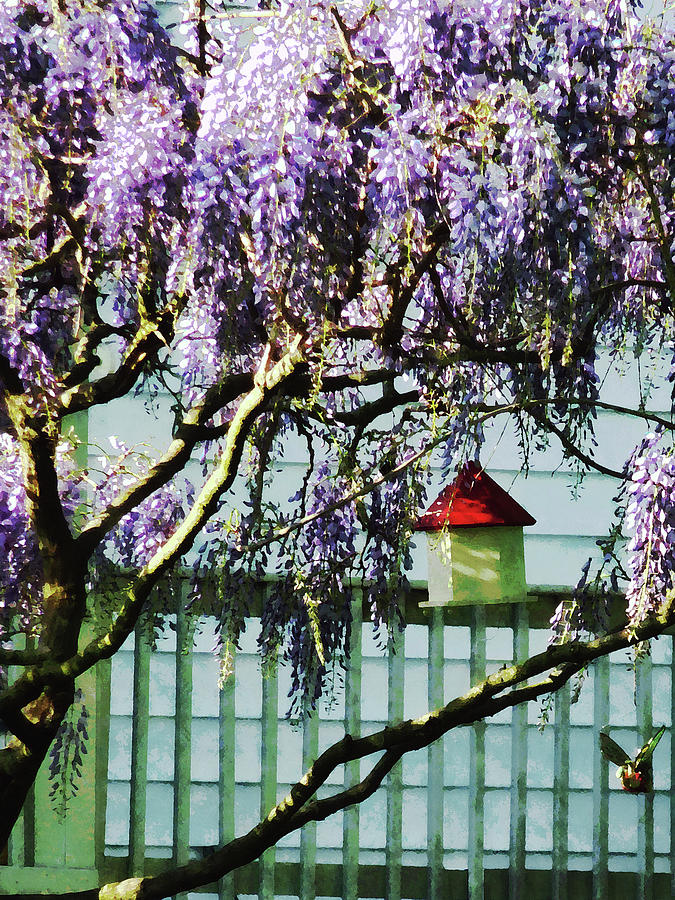 Spring Photograph - Wisteria and Birdhouse by Susan Savad