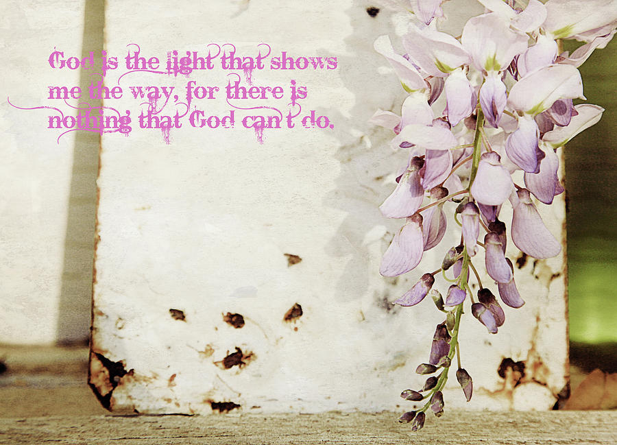 God is the light inspirational floral still life Photograph by Toni Hopper