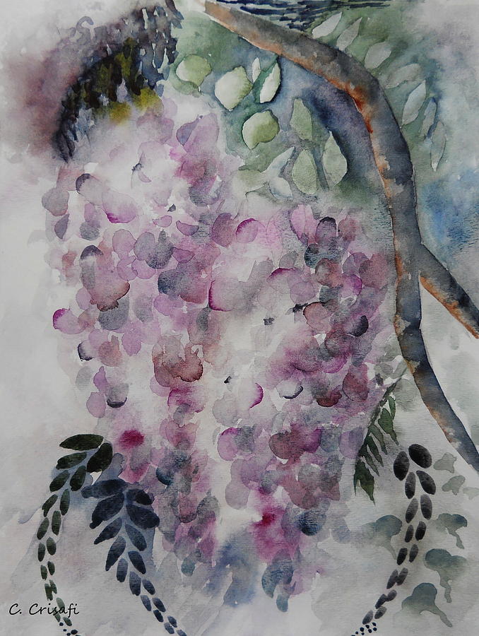 Wisteria Painting by Carol Crisafi