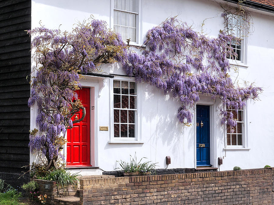 Wisteria Cottages Photograph by Gill Billington