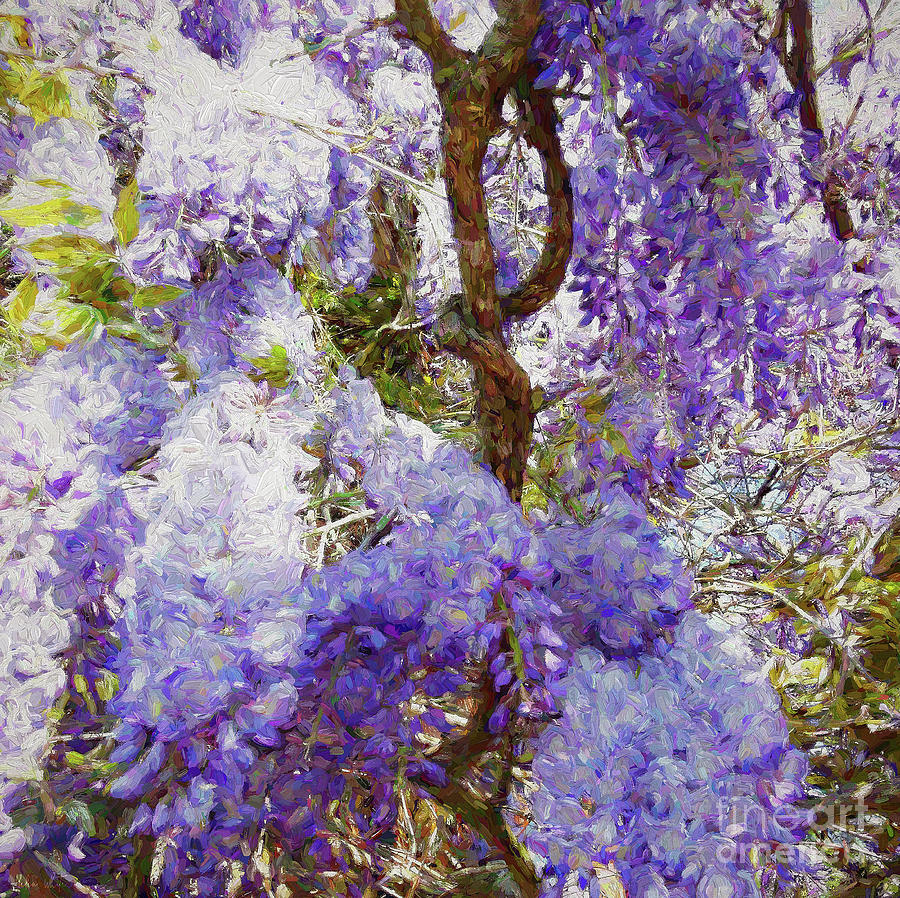 Spring Mixed Media - Wisteria by Helen White