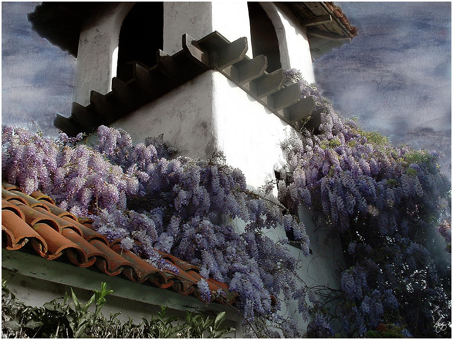 Wisteria on a Roof Photograph by Wayne King