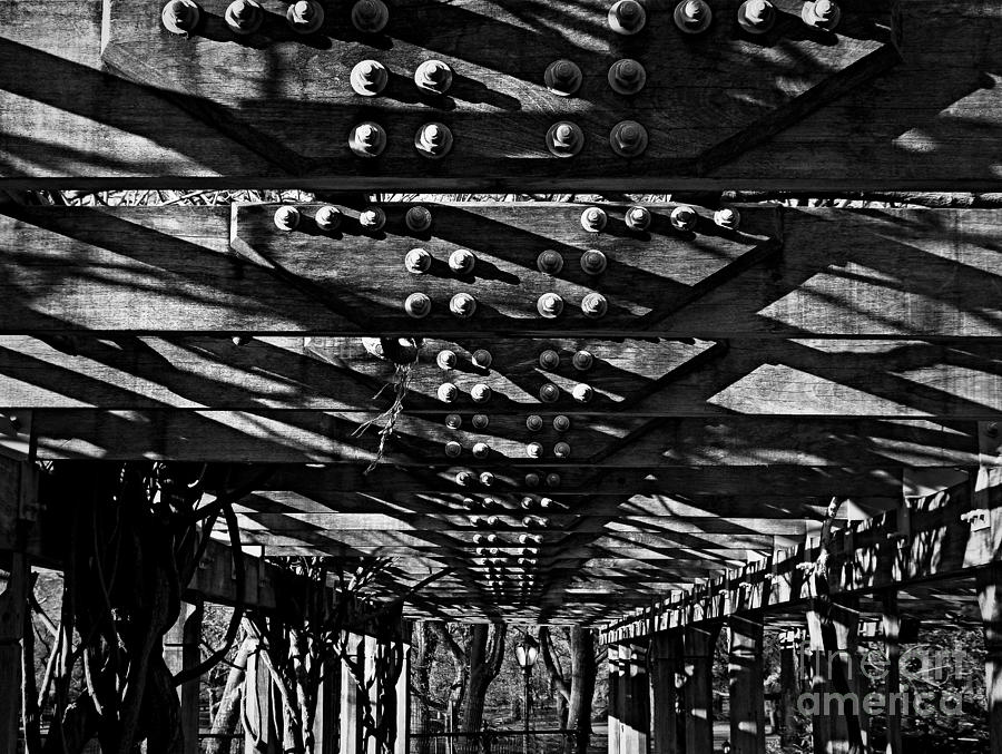 Wisteria Pergola in Central Park - BW Photograph by James Aiken