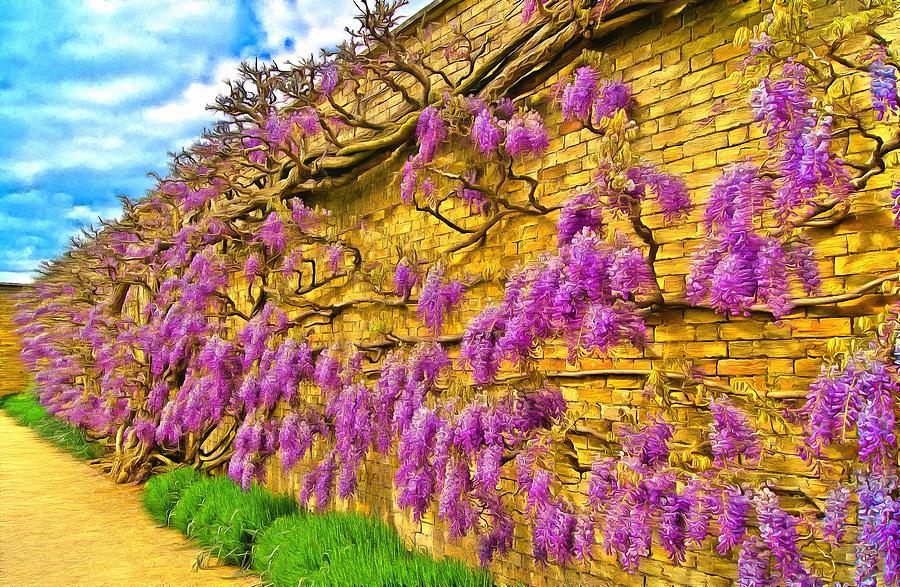 Wisteria Photograph by Scott Carruthers