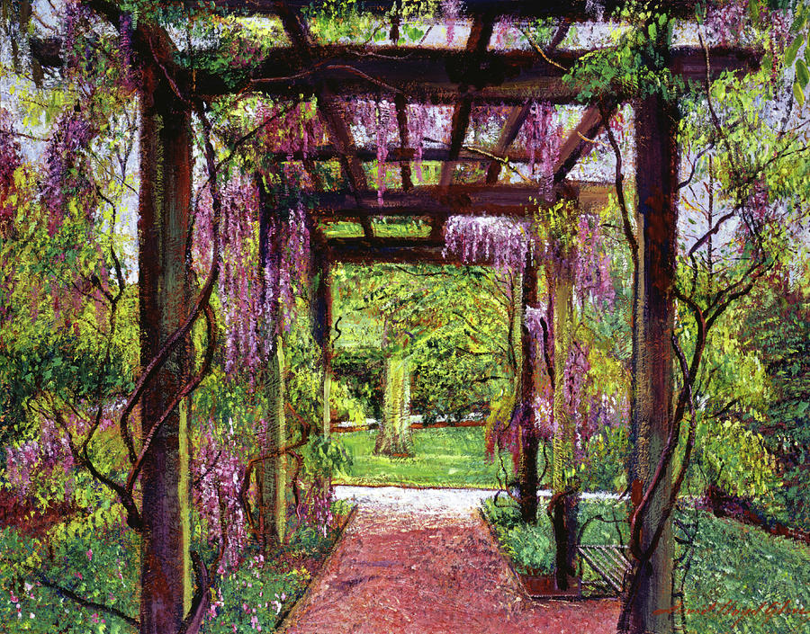 Garden Painting - Wisteria Trellis by David Lloyd Glover