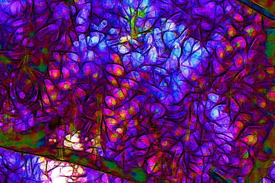 Abstract Digital Art - Wisterias by Jean-Marc Lacombe