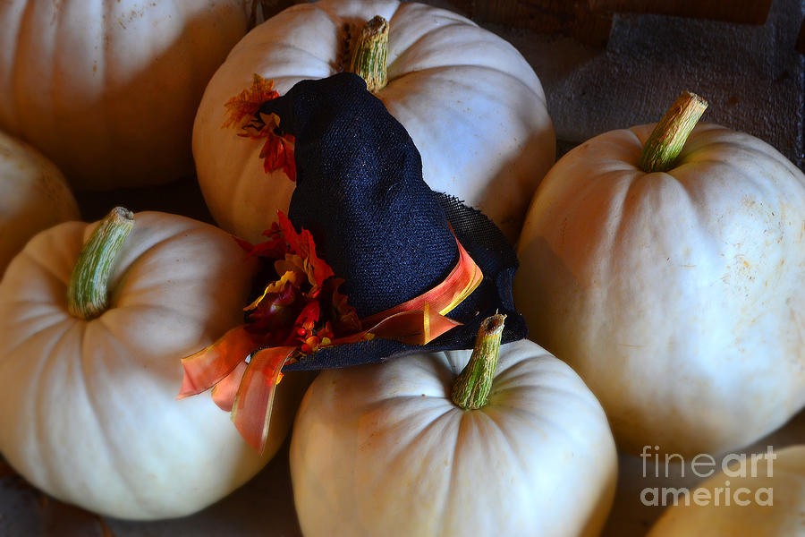 Witch Hat on White Pumpkins Photograph by Amy Lucid