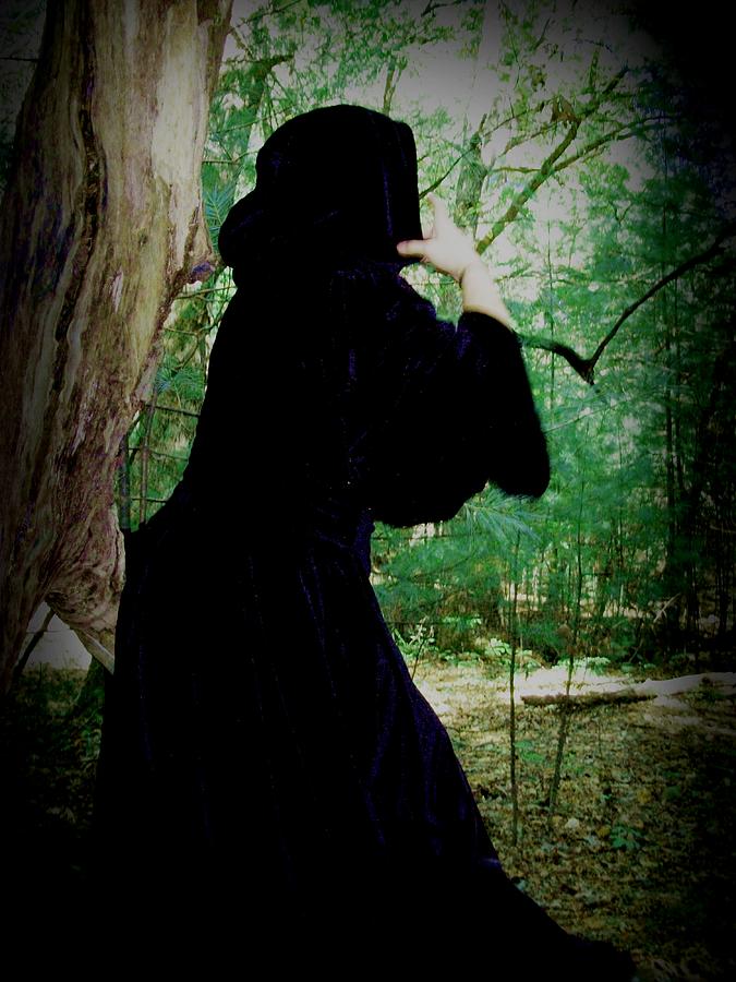 the witch in the wood th white