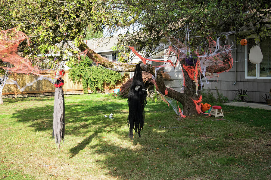 Hanging Witch in Mt Vernon Photograph by Tom Cochran