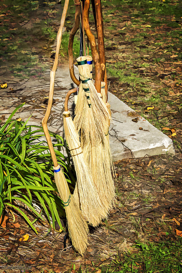 Witches Brooms Photograph by LeeAnn McLaneGoetz McLaneGoetzStudioLLCcom