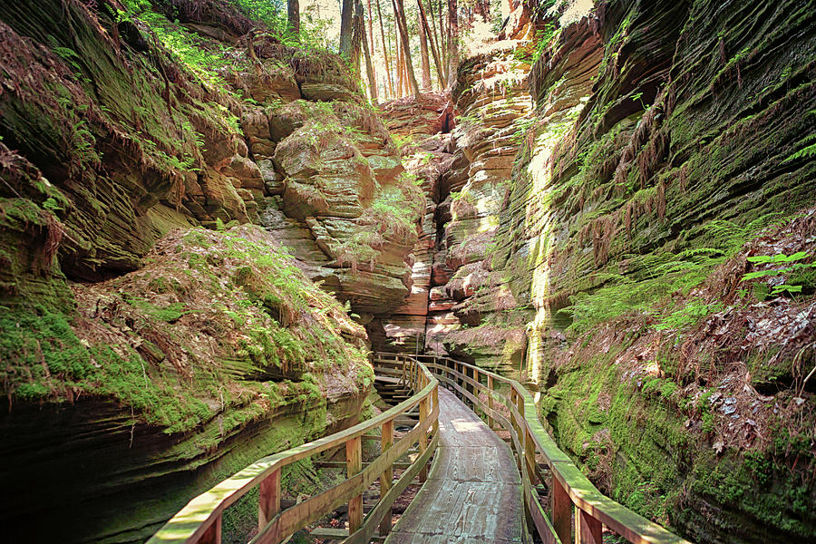 Witches Gulch 1 Photograph by Susan Rissi Tregoning