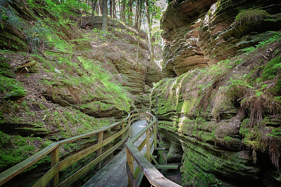 Witches Gulch 2 Photograph by Susan Rissi Tregoning