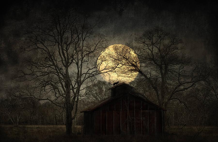 Winter Digital Art - Witches Moon by Hazel Billingsley