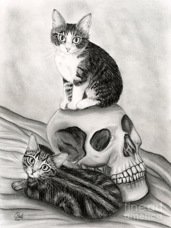 Witchs Kittens Drawing by Carrie Hawks