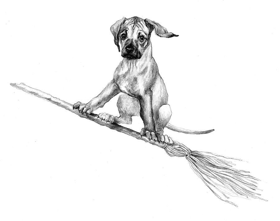 Broom Drawing - Witchs Puppy by Leisa Temple