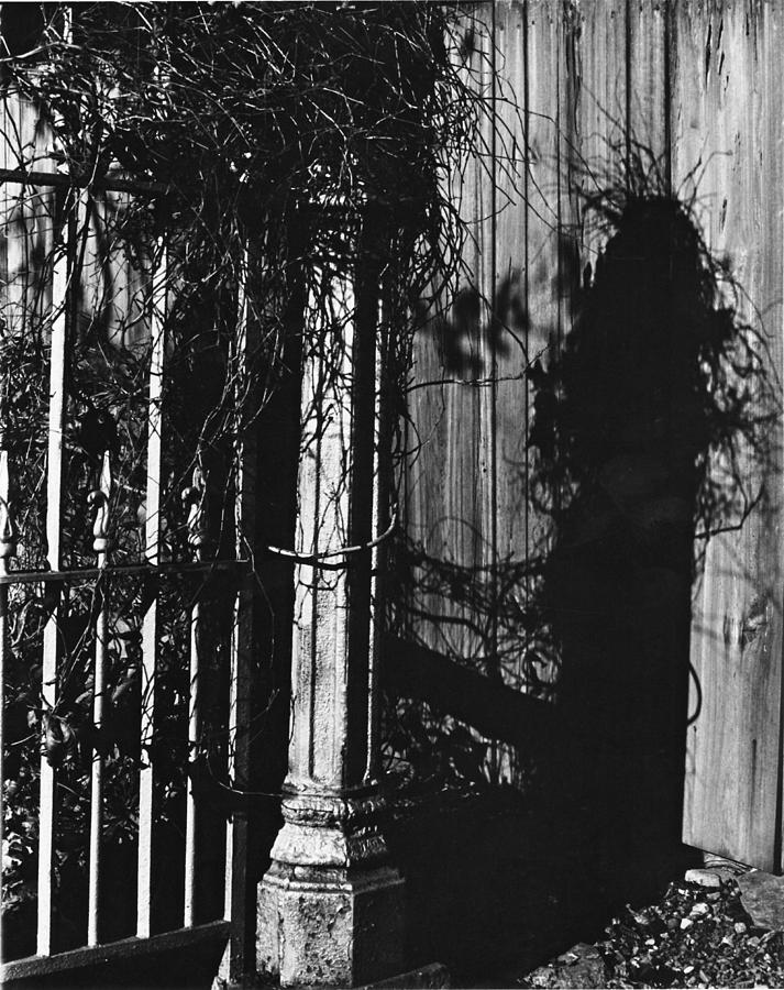 Witchs Shadow Photograph by Kathryn Donatelli