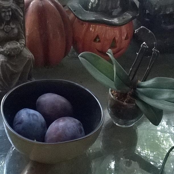 Witchs Still Life Photograph by Stephanie Piaquadio