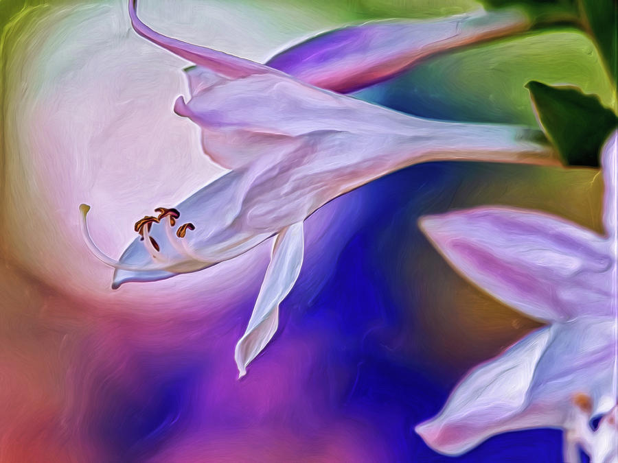 With A Little Love Digital Art by Doctor MEHTA With A Little Love Digital Art by Doctor MEHTA
