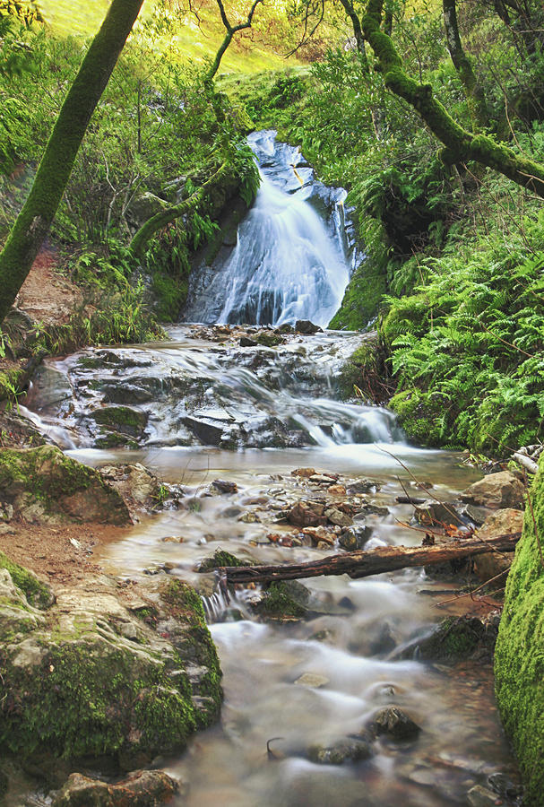 Waterfall Photograph - With All I Have by Laurie Search
