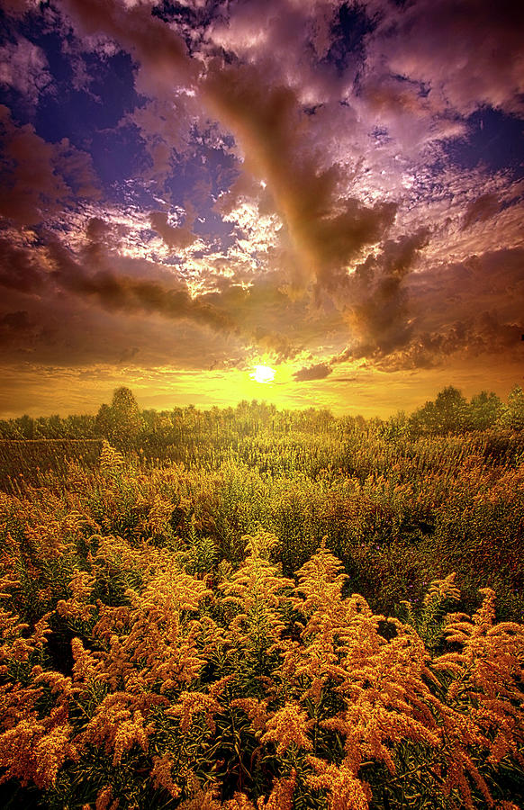 With All Your Heart And Soul Photograph by Phil Koch