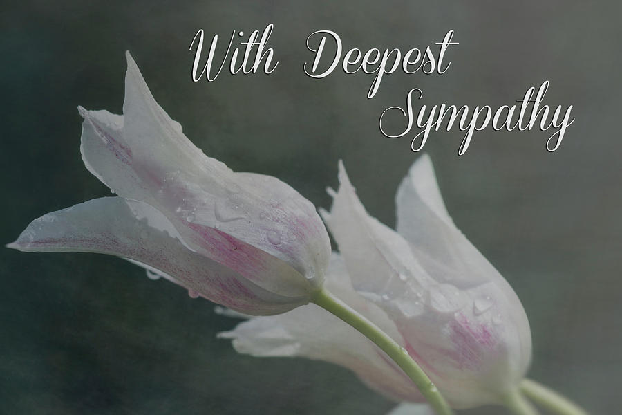 With Deepest Sympathy Photograph by Teresa Wilson
