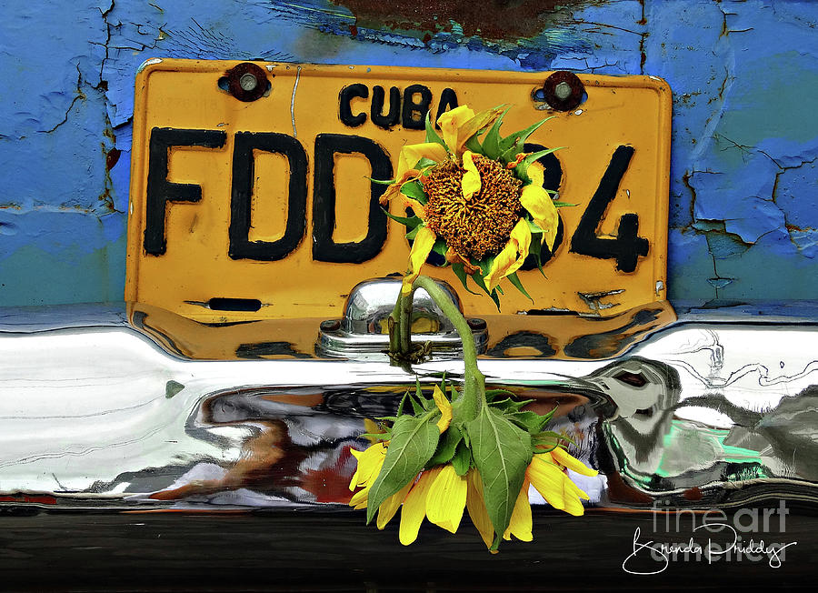 With Love From Havana by Brenda Priddy With Love From Havana by Brenda Priddy
