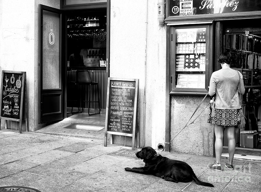 With My Dog in Madrid Photograph by John Rizzuto