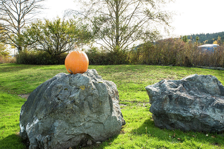 With or Without a Pumpkin Photograph by Tom Cochran