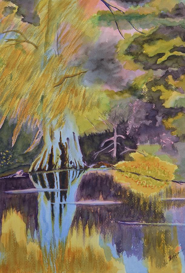 Withlacoochee Reflections 2 Painting by Warren Thompson
