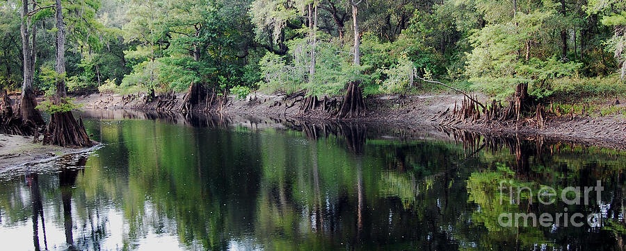 Withlacoochee River Photograph by Robert Meanor