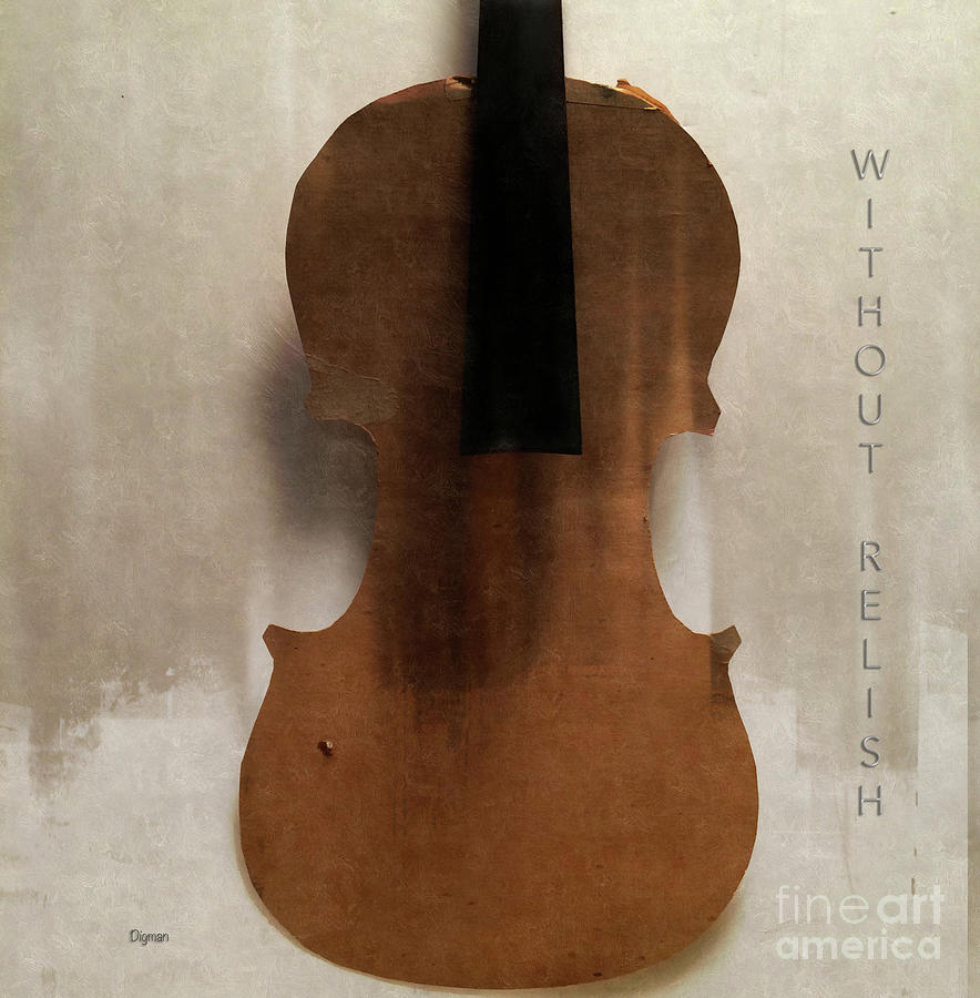 Violin Photograph - Without Relish  by Steven Digman