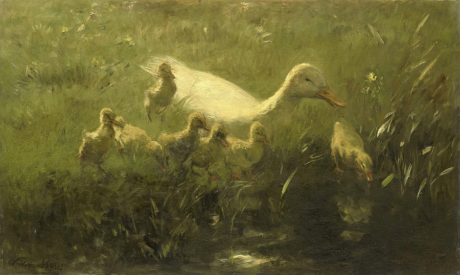 Witte Eend Met Kiekens, Painting by Willem Maris - Fine Art America