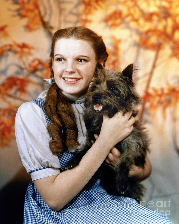 1939 Photograph - Dorothy, Wizard Of Oz, 1939 by Granger