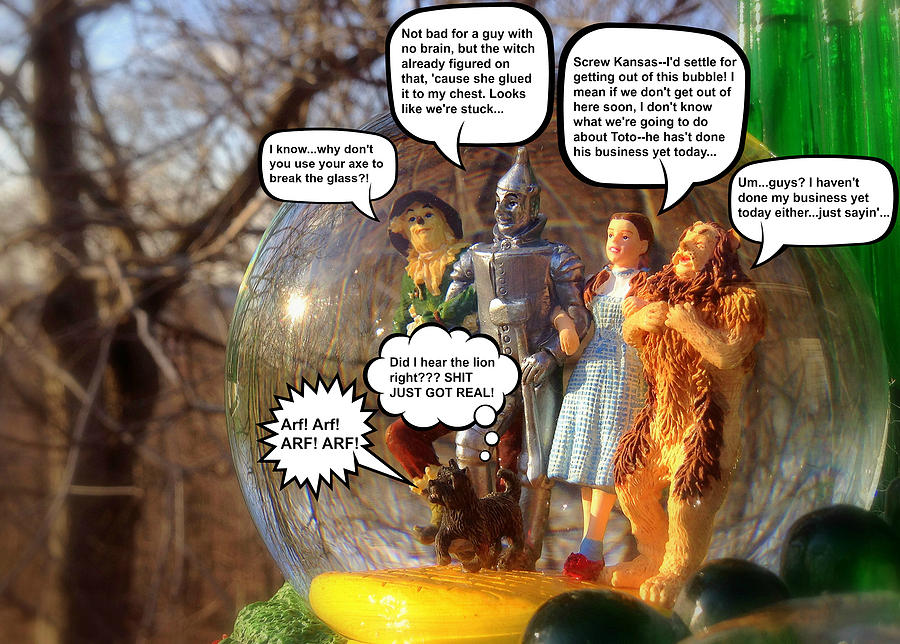 Wizard Of Oz Humor IV Photograph by Aurelio Zucco