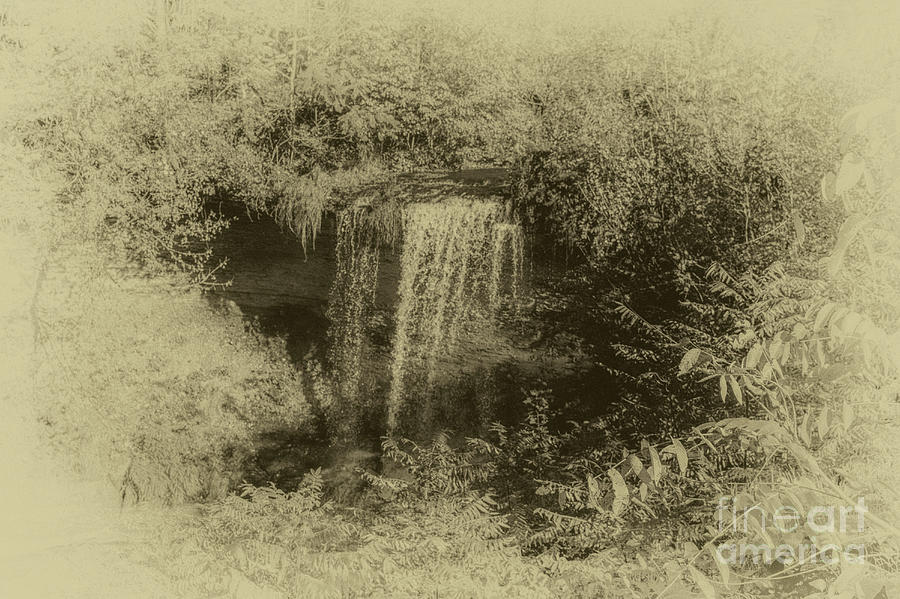 Nature Photograph - Wolcott Falls by William Norton