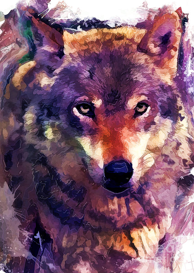 Wolf Art Photograph