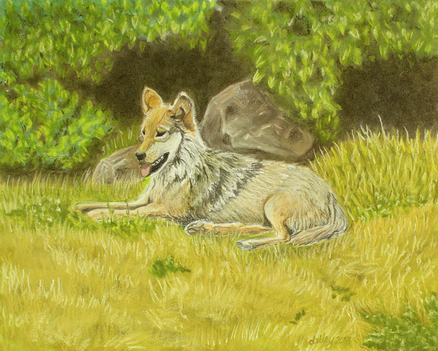 Wolf at Rest Painting by Dorothy Riley
