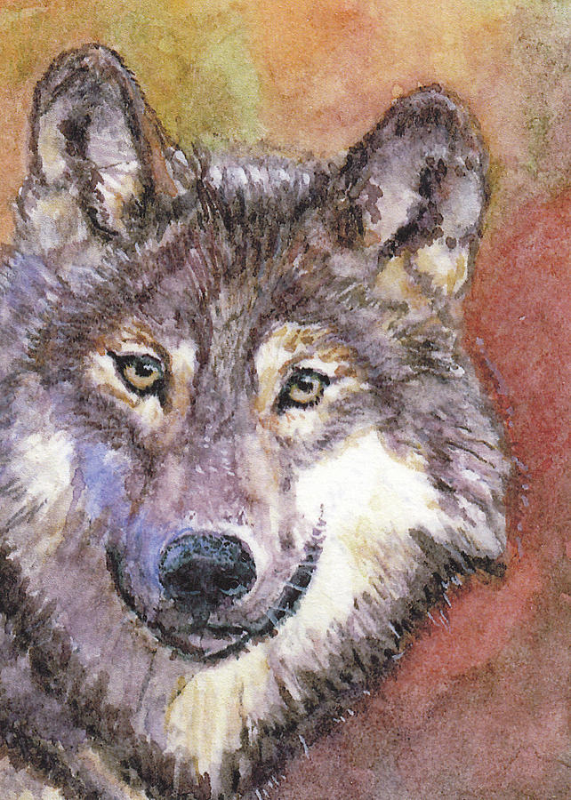 Wolf Painting by Barry Jones